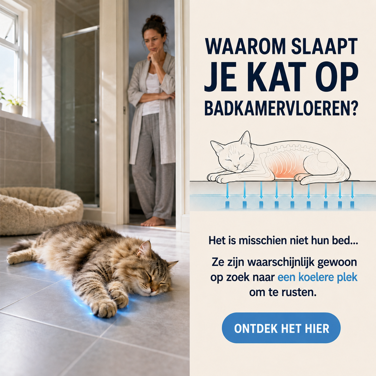 Laura Vermeulen Facebook ad: Heb jij een kat? Lees dit dan goed.