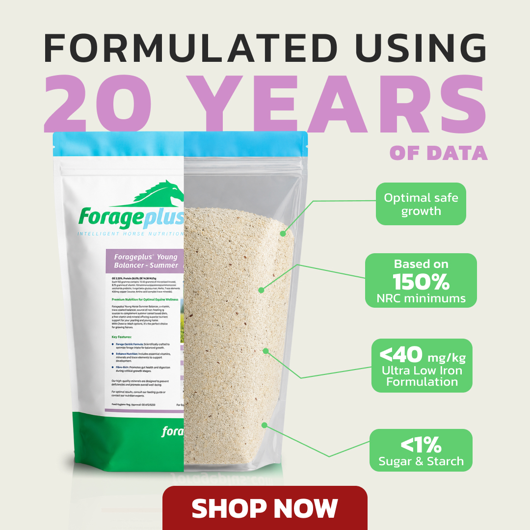 Forageplus Facebook ad: We Don't Guess What Your Horse Needs. We Measure It.