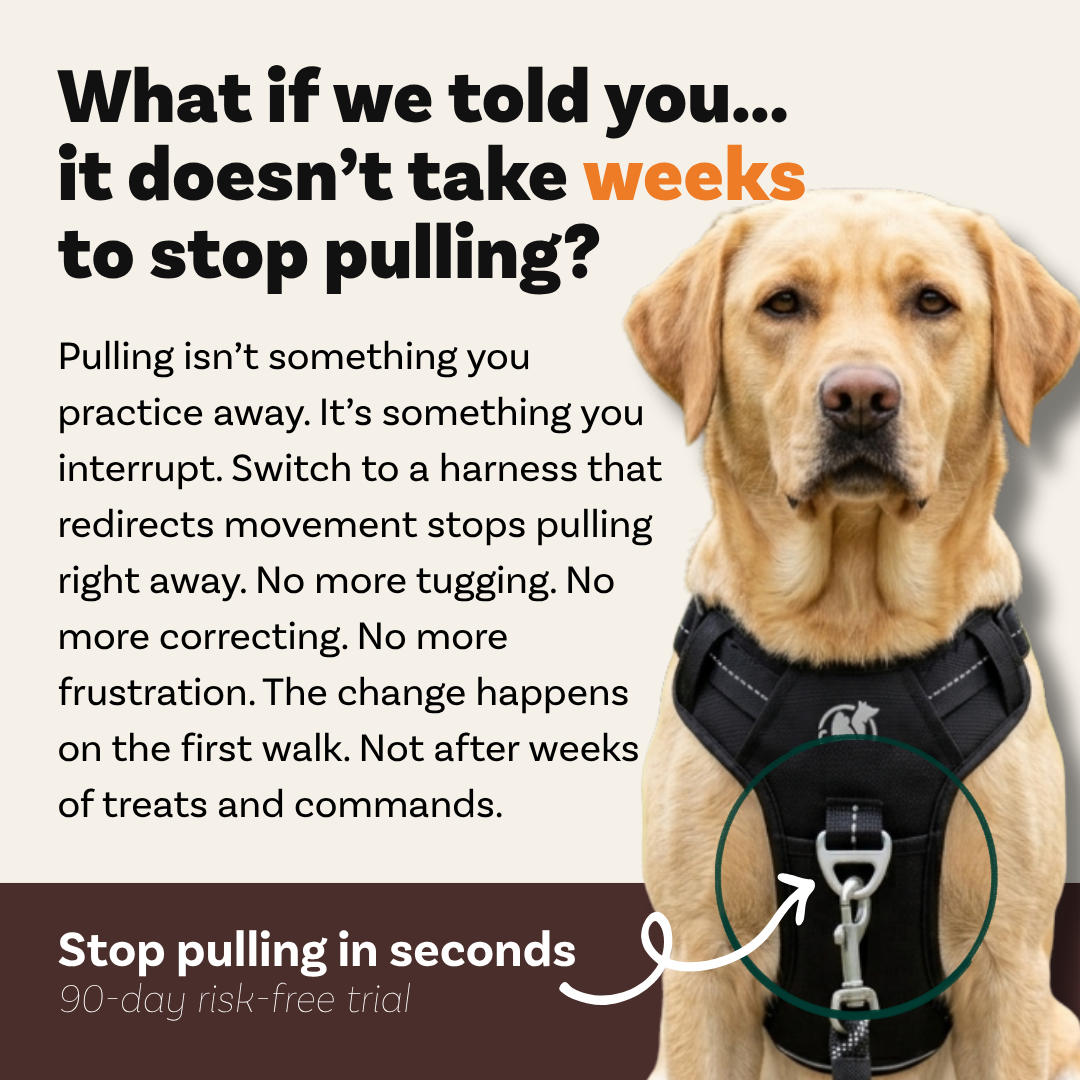 PawSafe Facebook ad