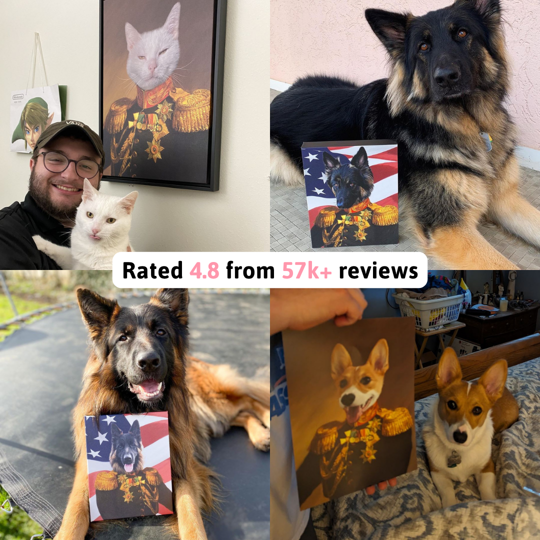 Crown & Paw Facebook ad