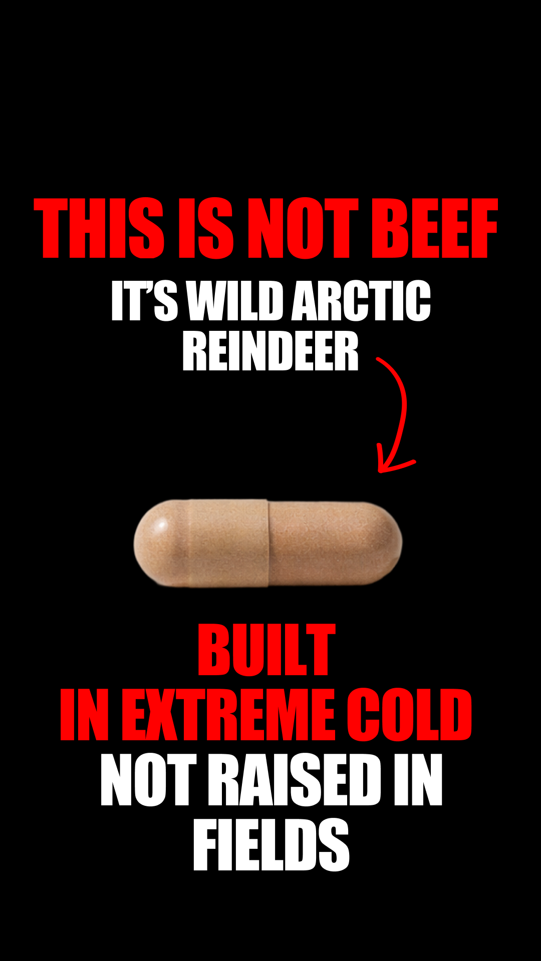 Primal Viking Facebook ad