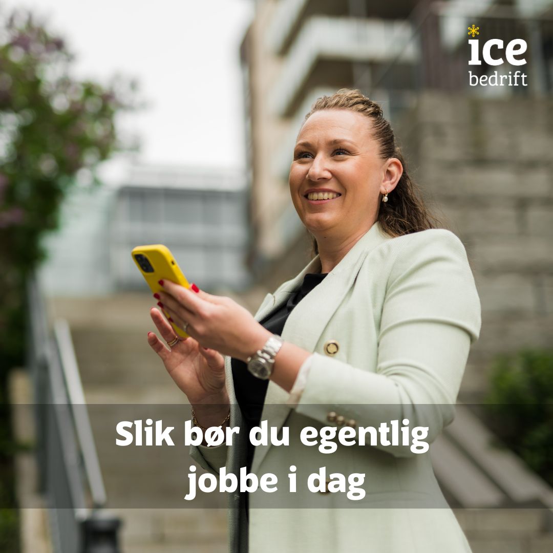 ice.no Facebook ad