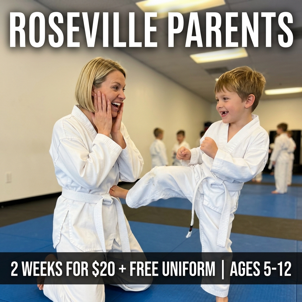 Roseville Academy - Family Taekwondo Facebook ad: Family Martial Arts!