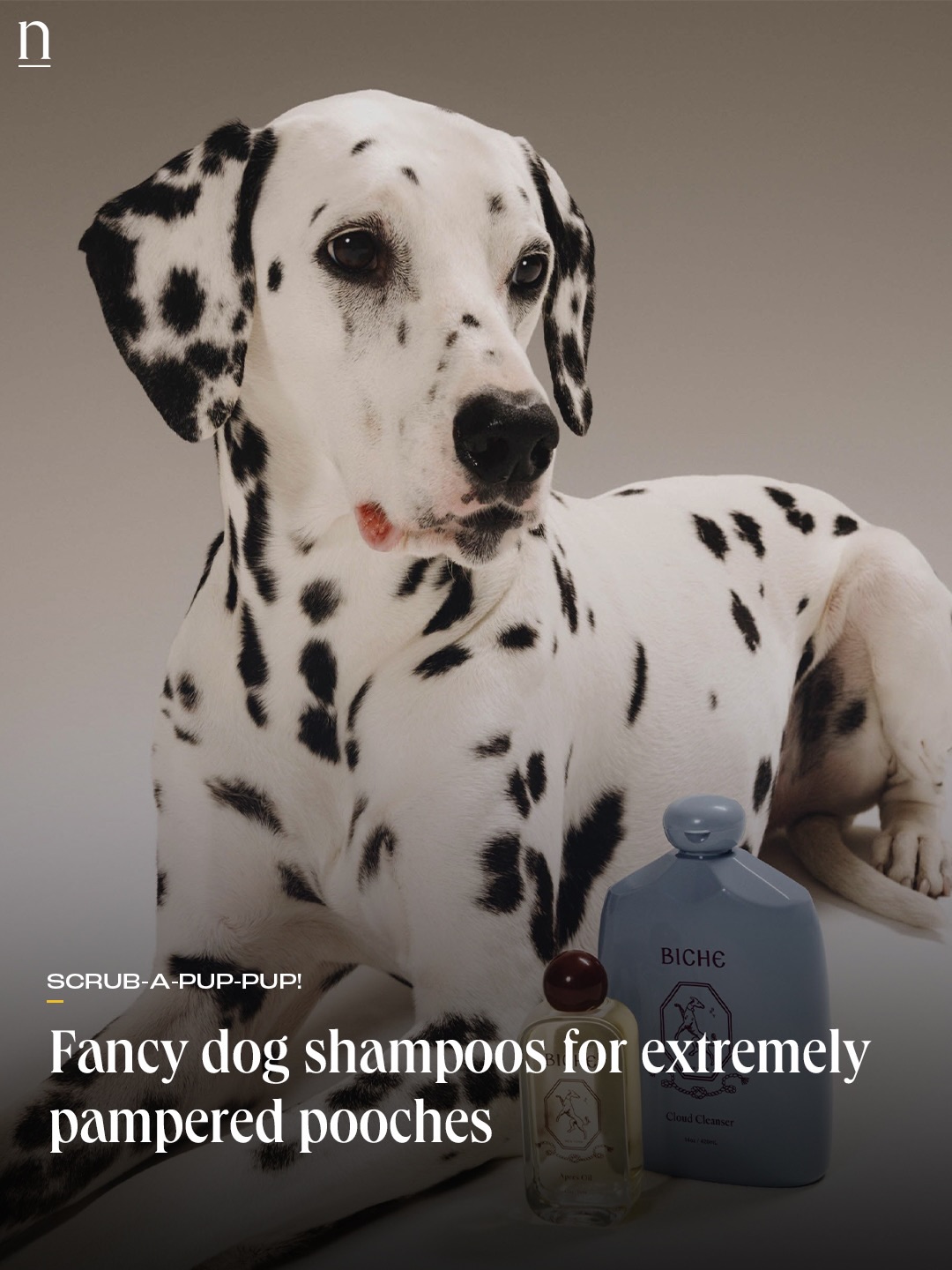The Nod Mag Facebook ad: Only the best for my baby