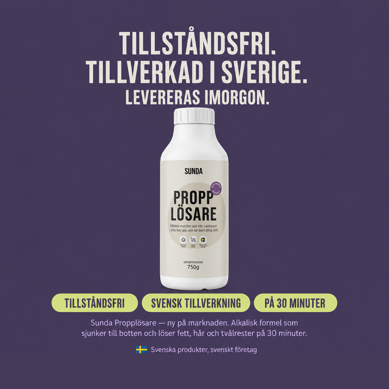 Sunda Facebook ad