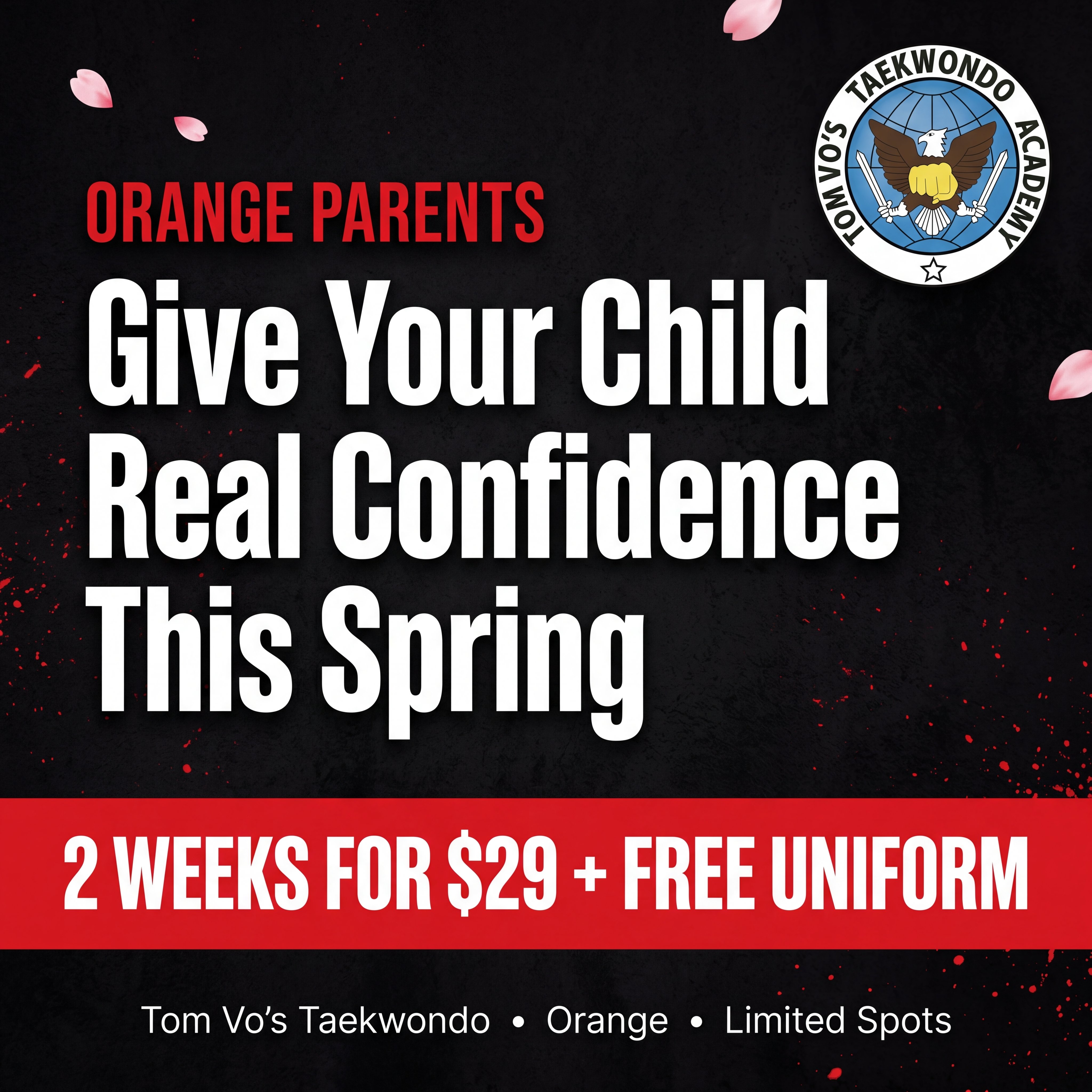 Orange Martial Arts - Tom Vo's Taekwondo Facebook ad