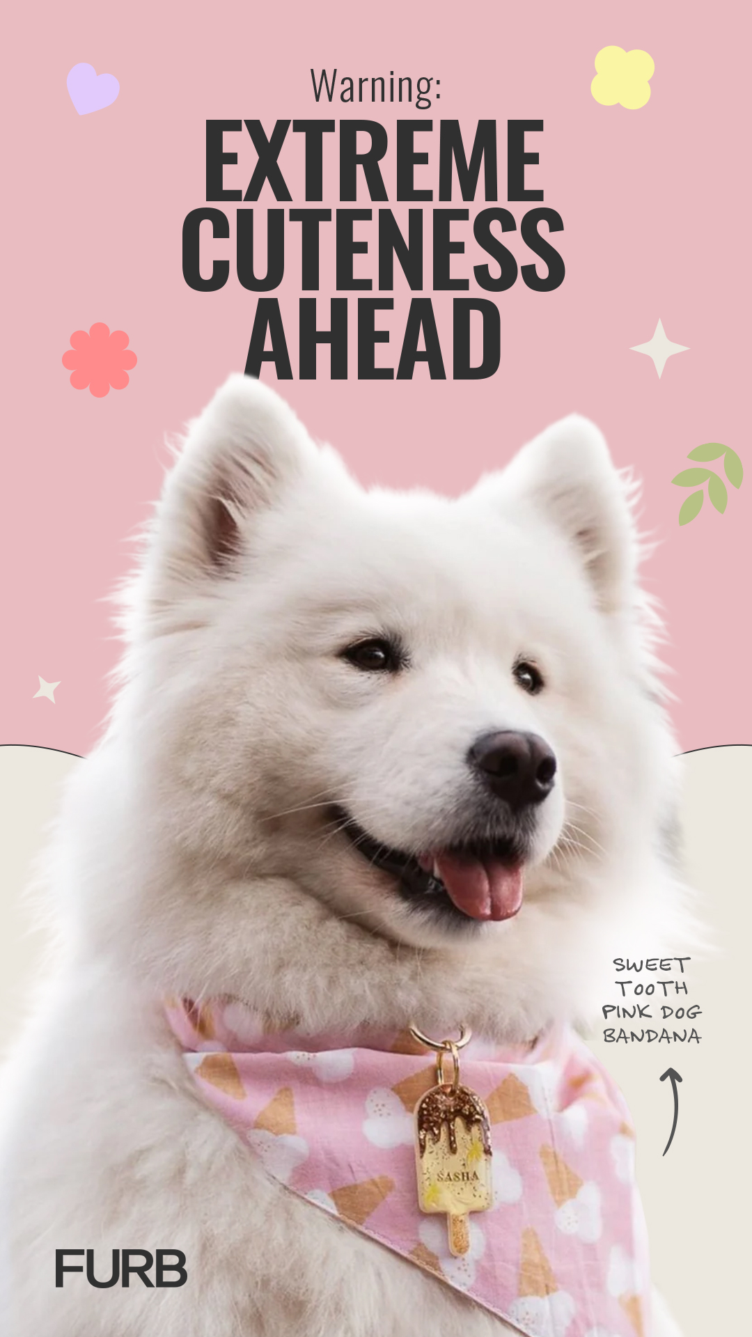 Furb Facebook ad