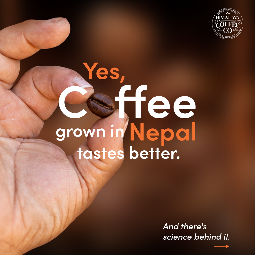 Himalaya Coffee Company Facebook ad