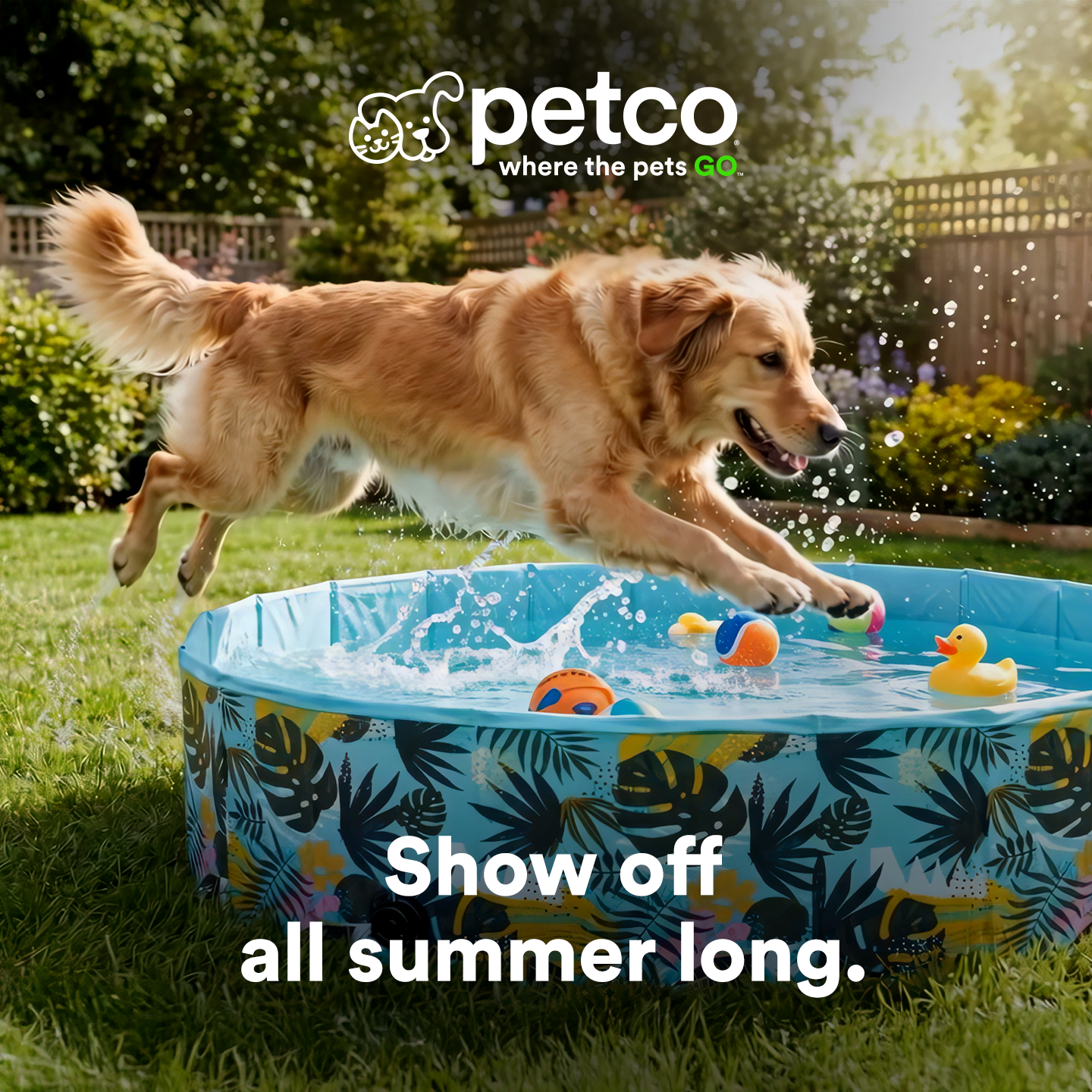 Petco Facebook ad