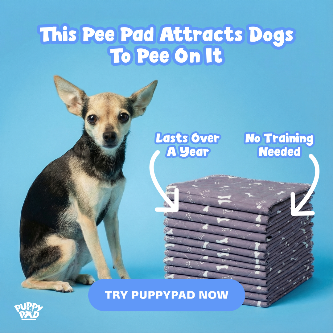 PuppyPad Facebook ad