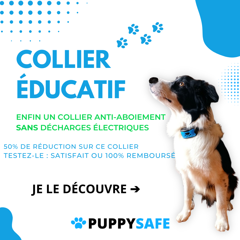 PuppySafe Facebook ad