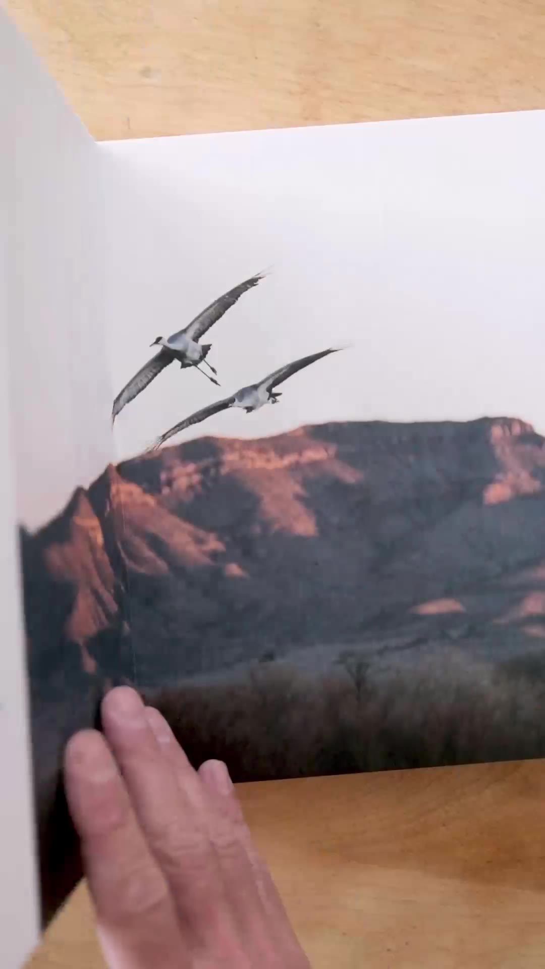 Blurb Books Facebook ad: Make and print custom books