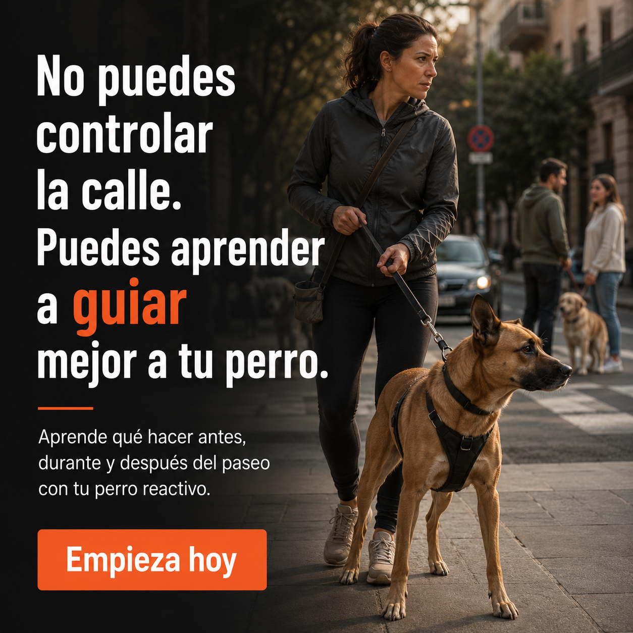El Profesor Canino Facebook ad