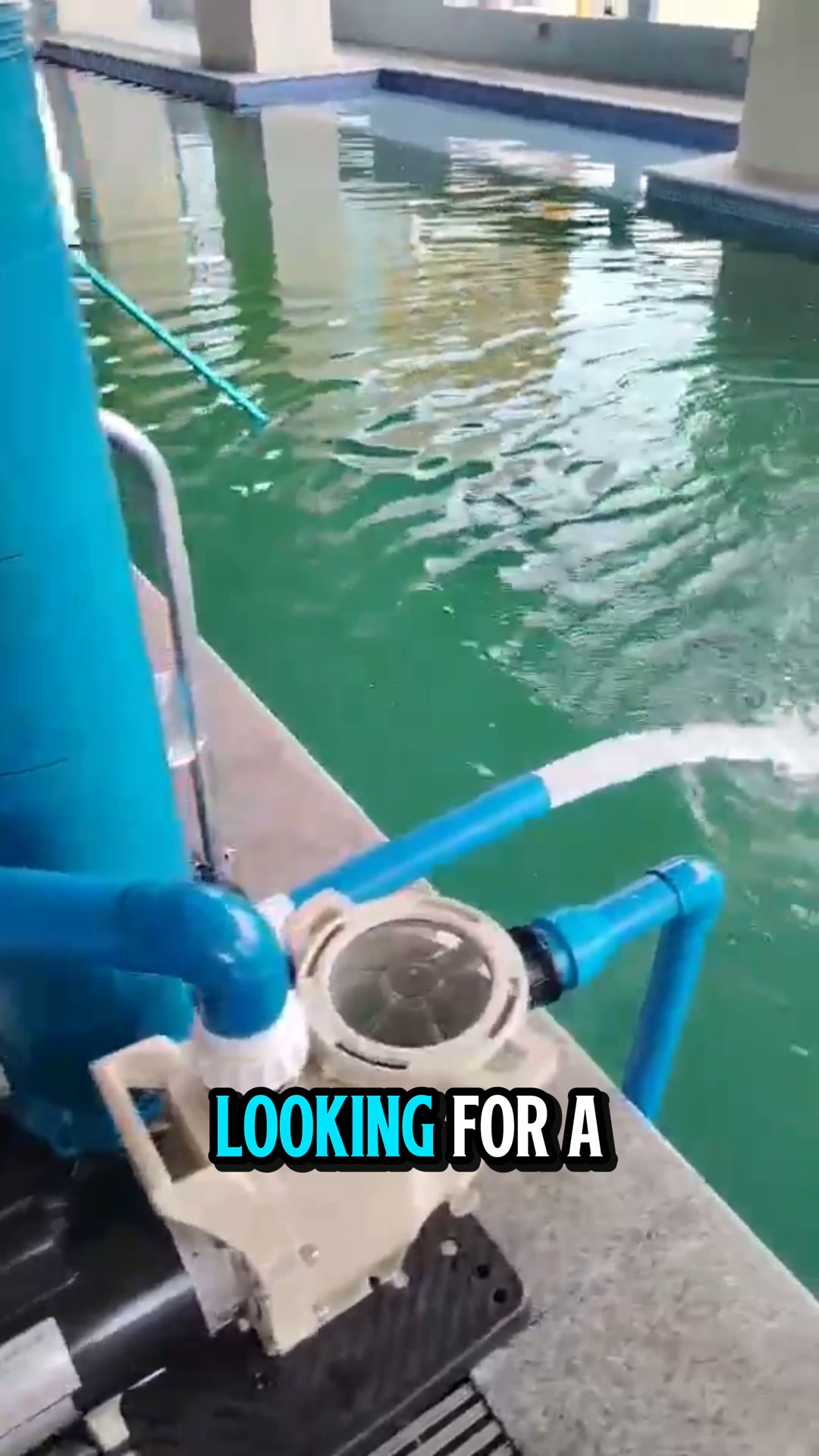 PTSB Swimming pool construction and supply Facebook ad from Jul 25, 2026