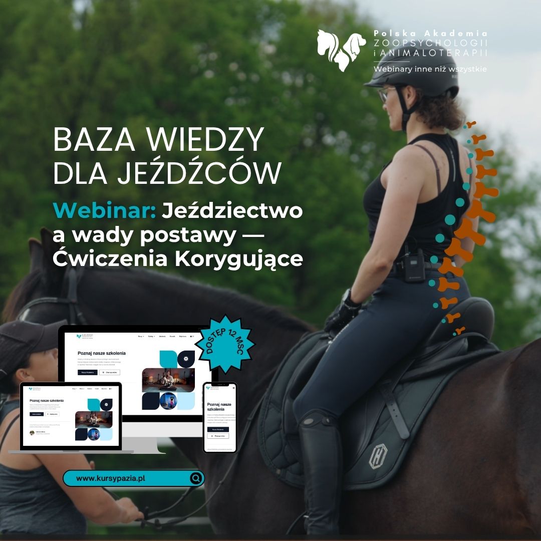 PAZiA_online Facebook ad: Twój kręgosłup w siodle