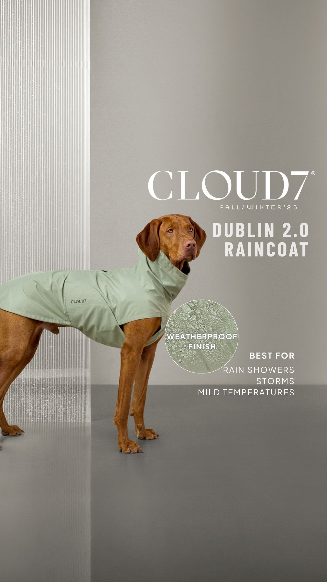 Cloud7 Facebook ad