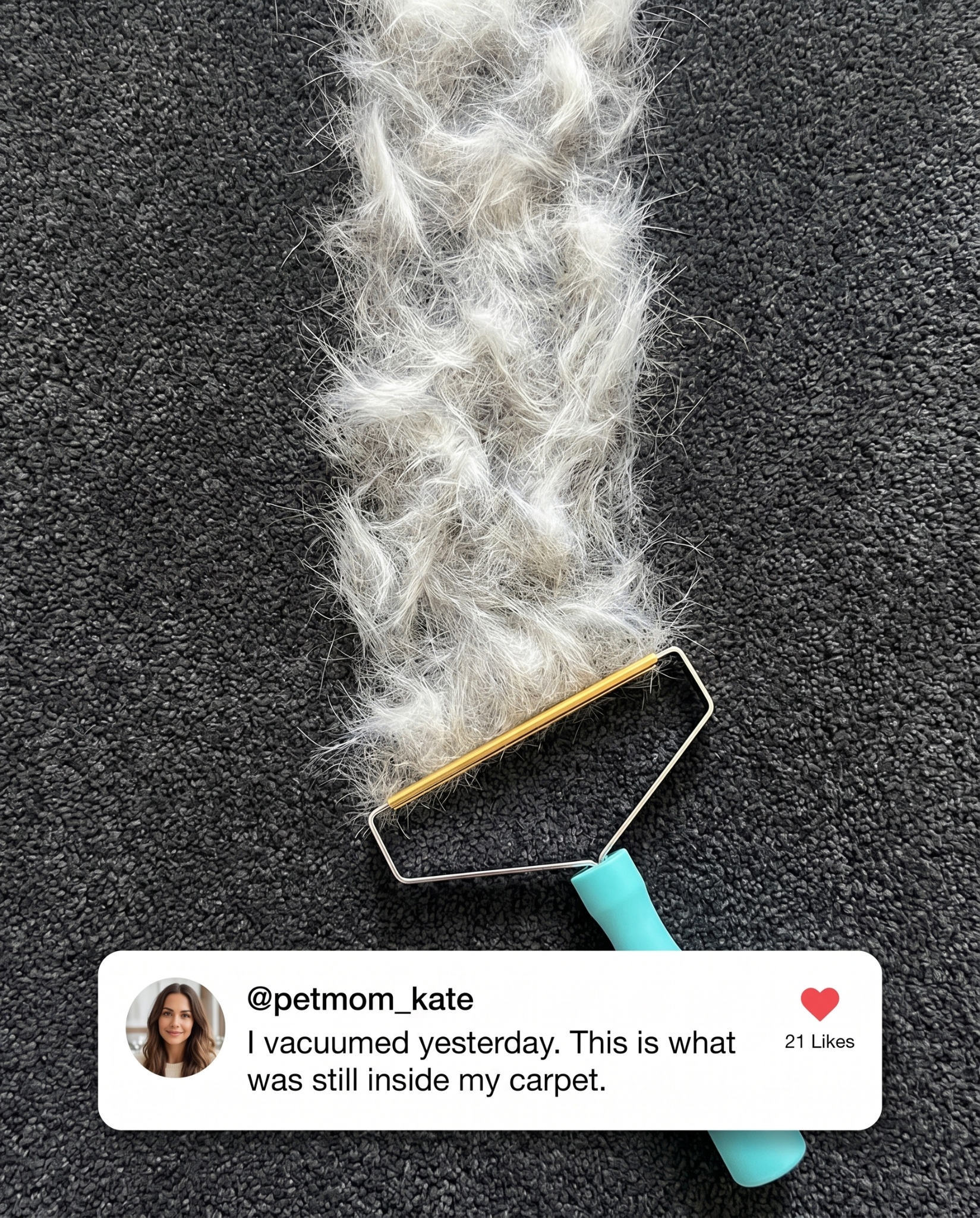 Cozee Clean Facebook ad: The #1 Pet Hair/Lint/Dust Cleaner