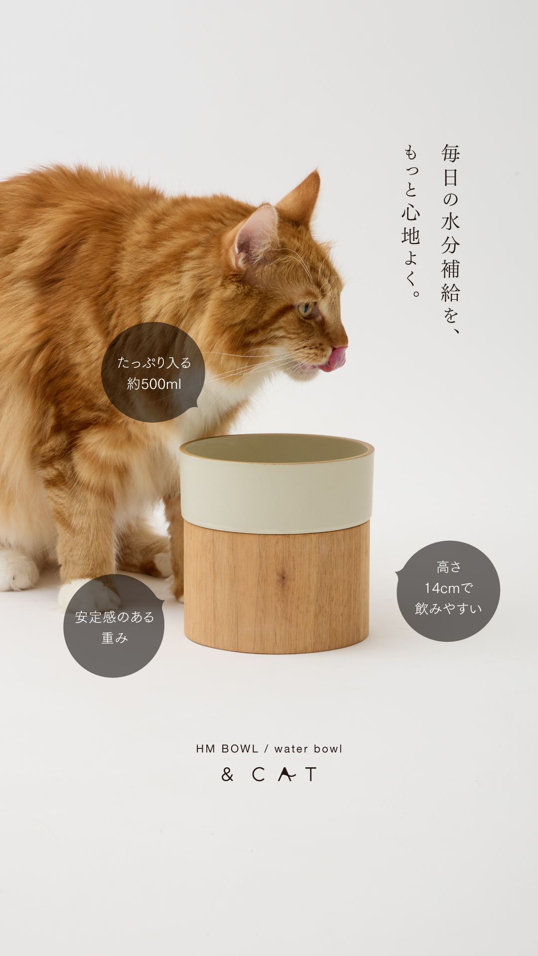 andcat_j Facebook ad