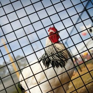 Agrifournitures.fr Officiel Facebook ad