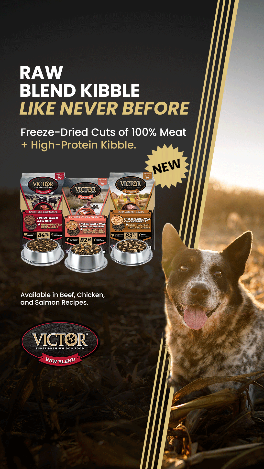 VICTOR Super Premium Pet Food Facebook ad