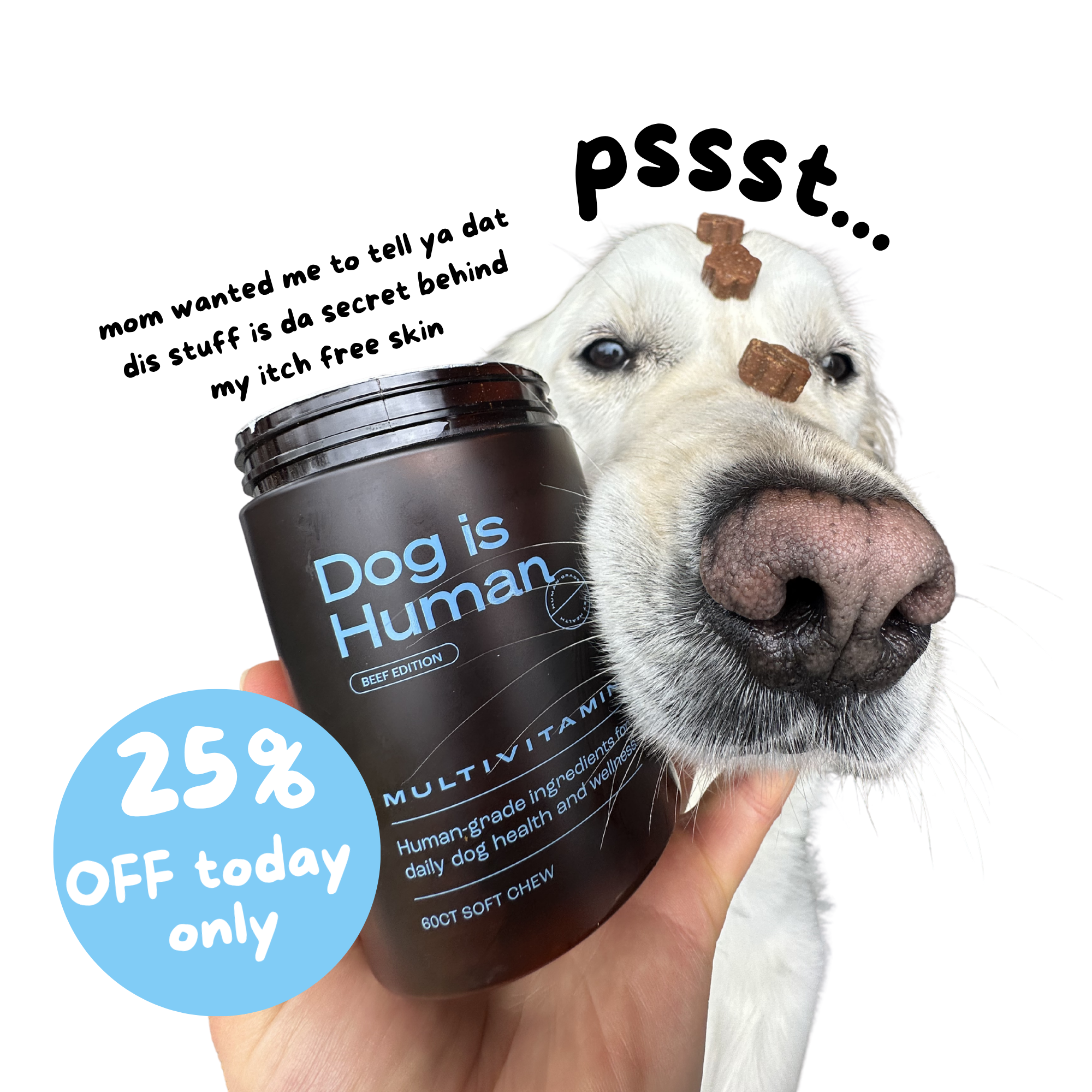Dog is Human Facebook ad
