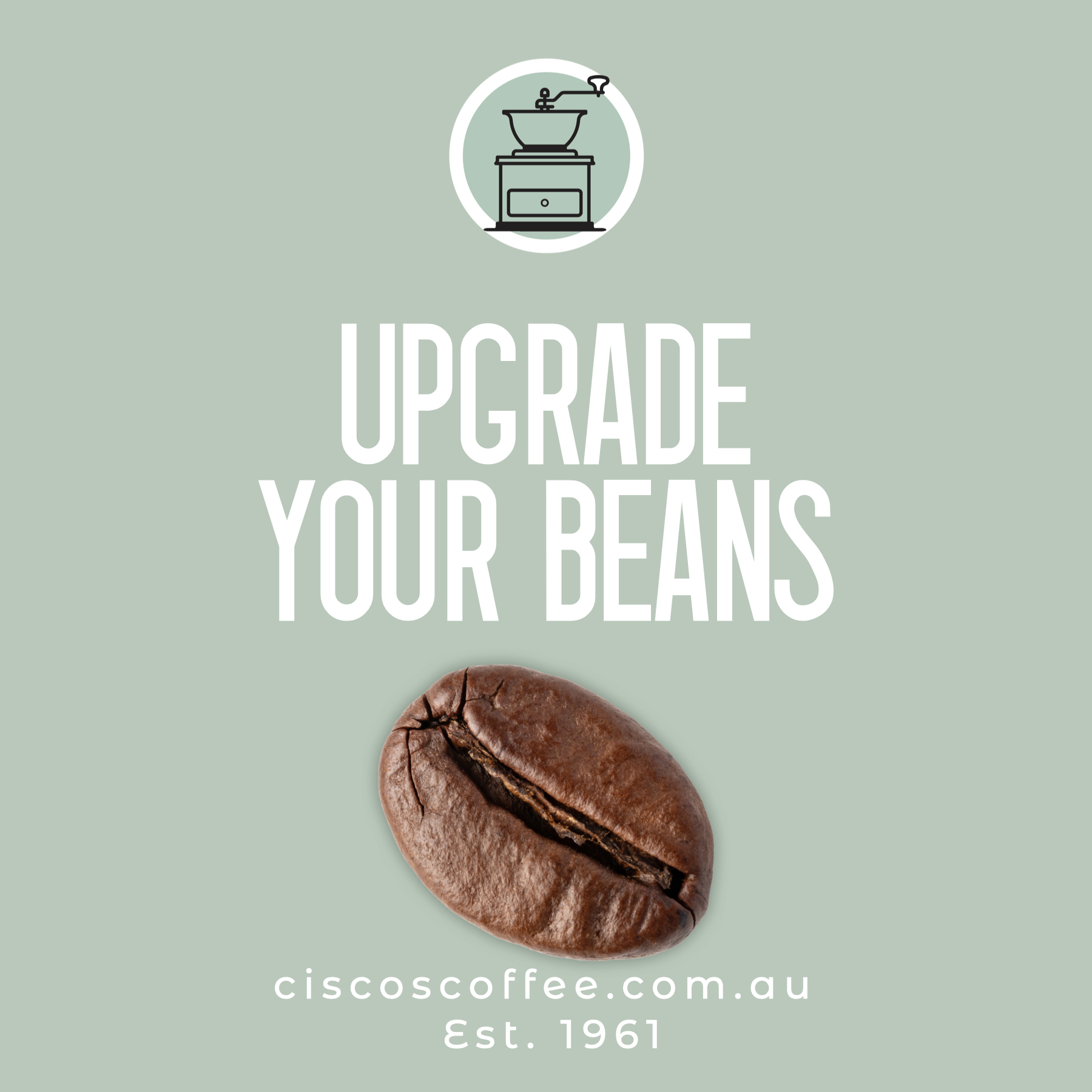 Ciscos Coffee Facebook ad