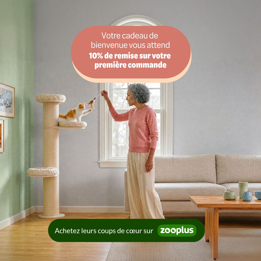 zooplus Facebook ad: Nourriture et accessoires pour animaux