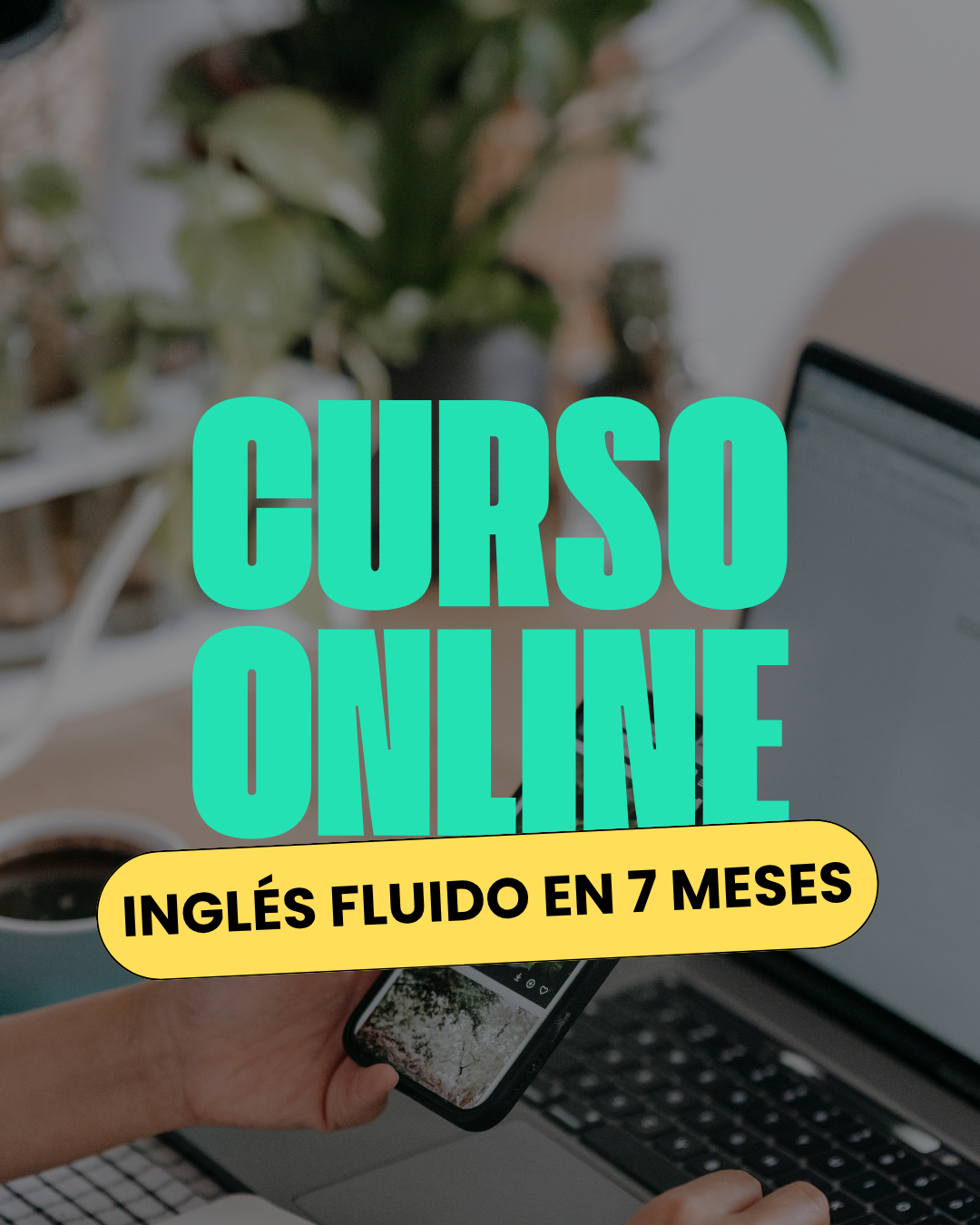 NET Idiomas Facebook ad