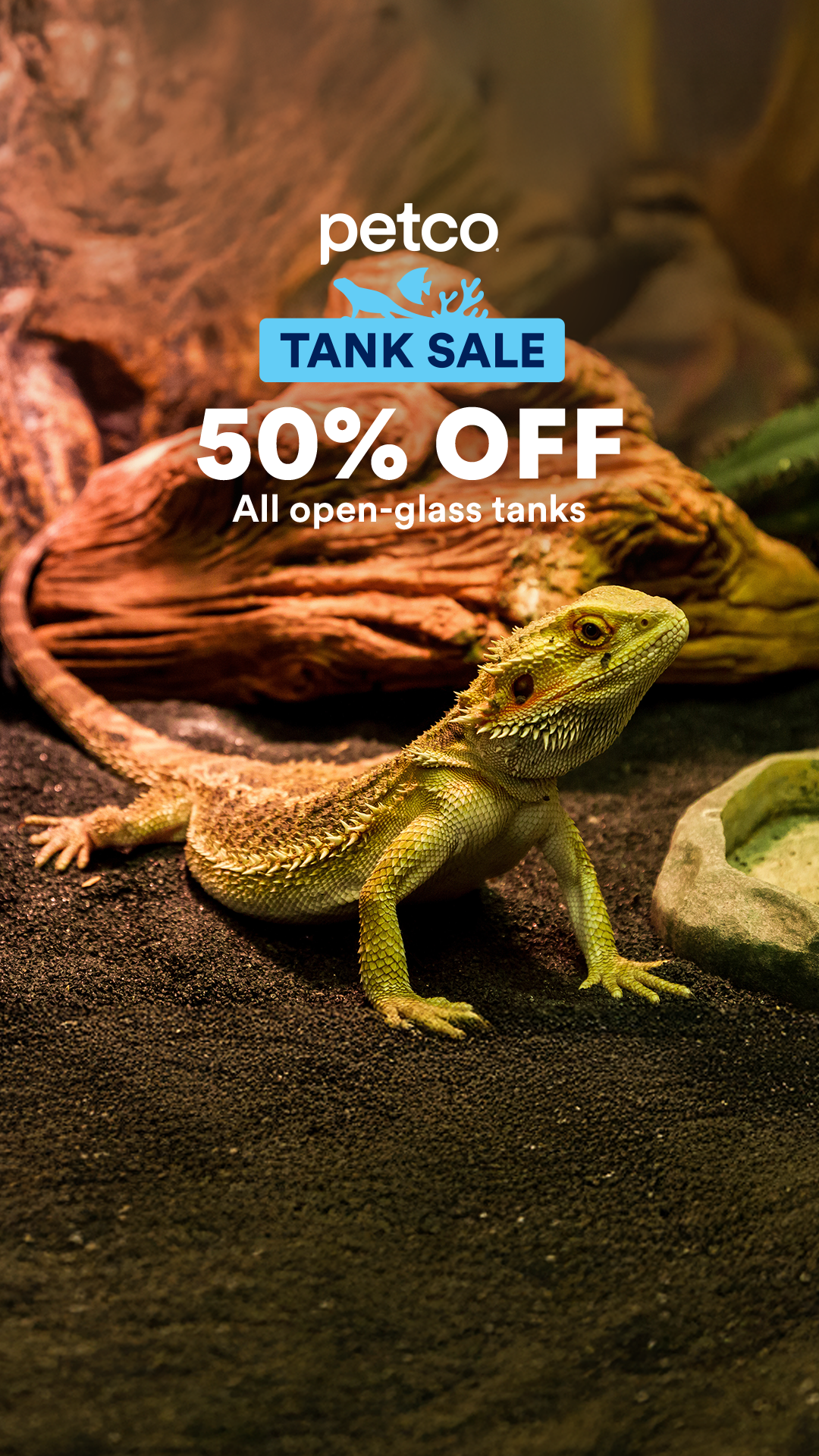 Petco Facebook ad