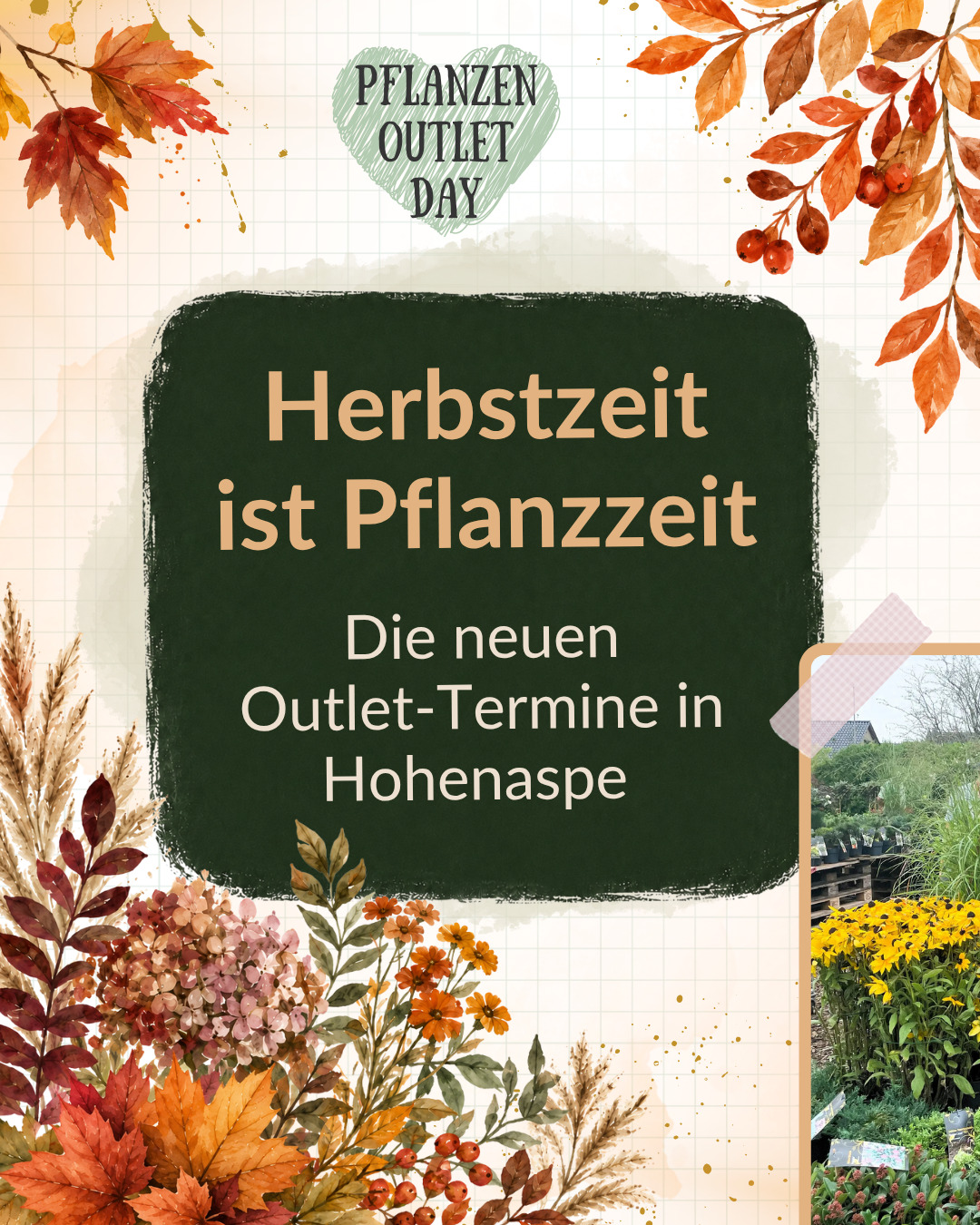 Baumschule Horstmann Facebook ad: Das Warten hat ein Ende: Der Pflanzen Outlet…
