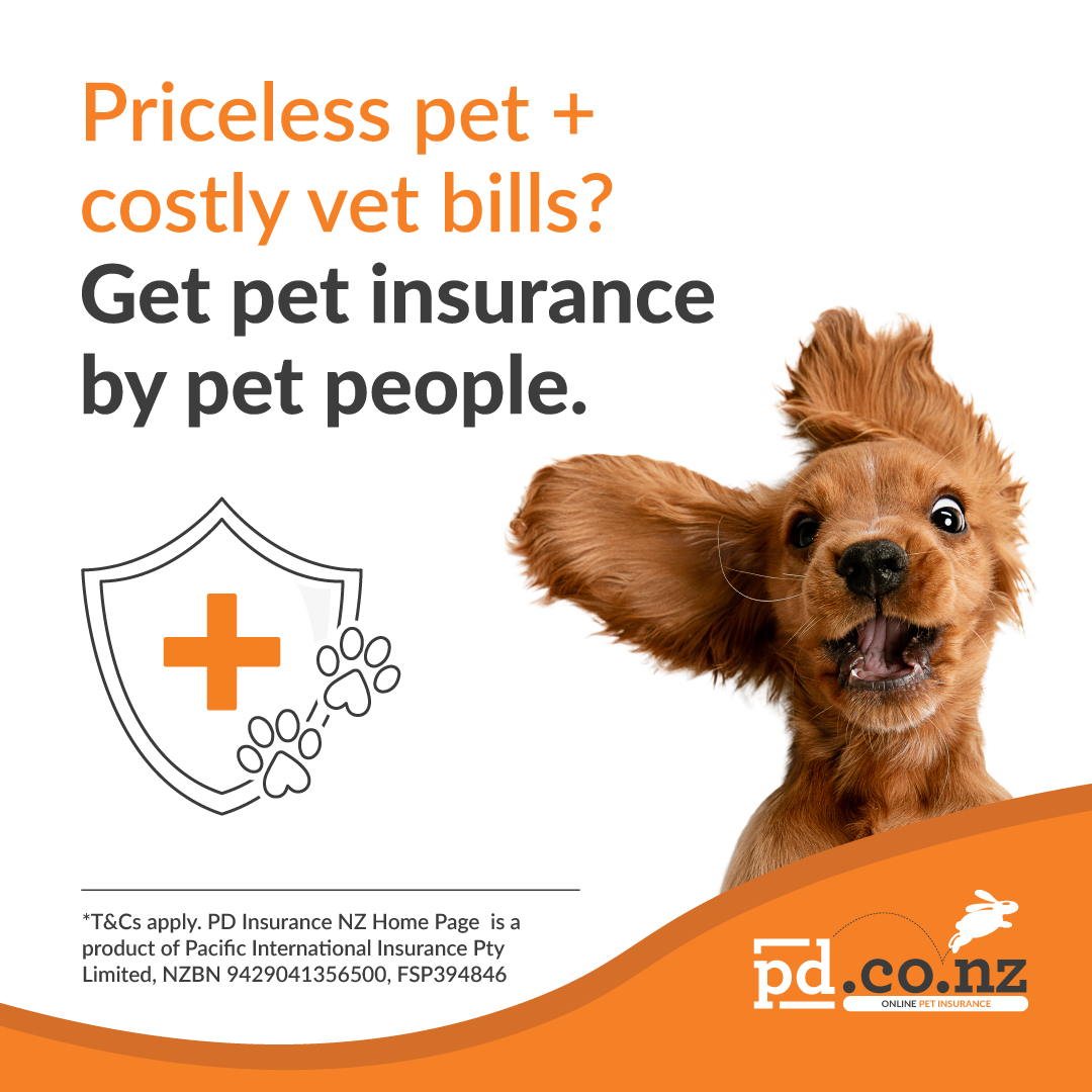 PD Insurance NZ Facebook ad