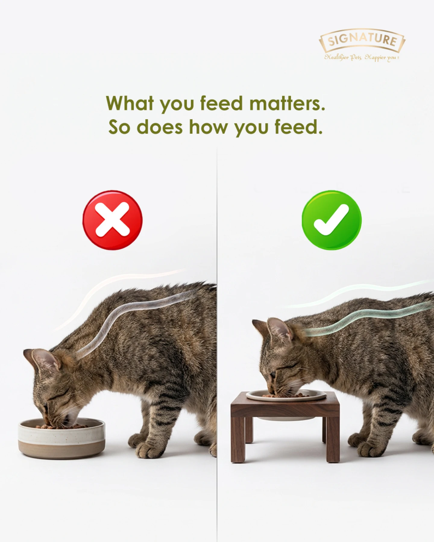 Signature Pet Foods Facebook ad: We spend time choosing the right food, reading…