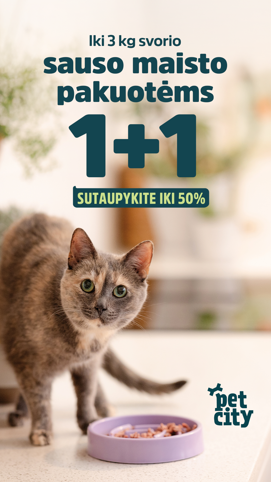 PetCity Lietuva Facebook ad