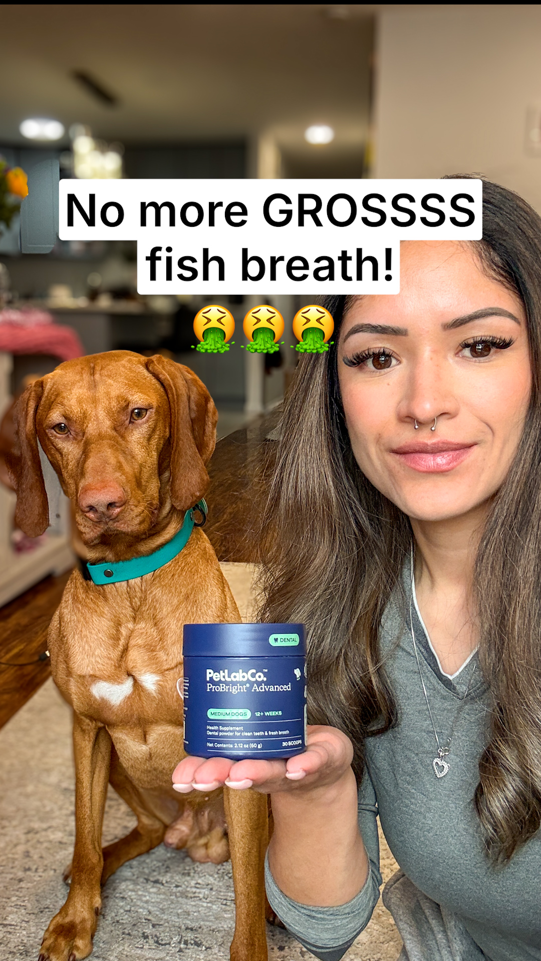 Anubisthevizsla Facebook ad