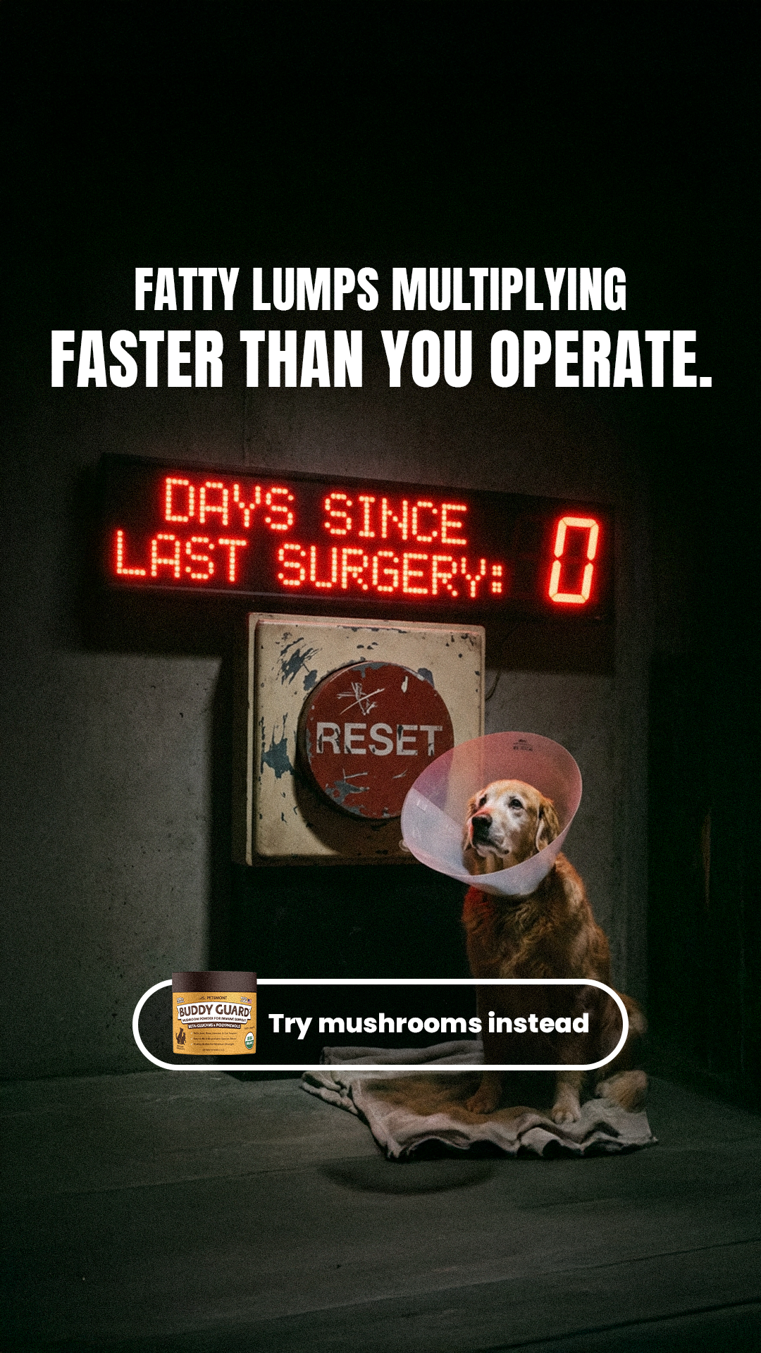 Petsmont Facebook ad