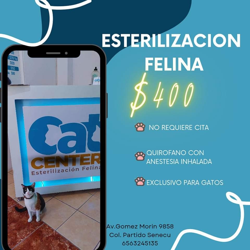 CAT Center Esterilizacion Felina Facebook ad from Aug 25, 2023