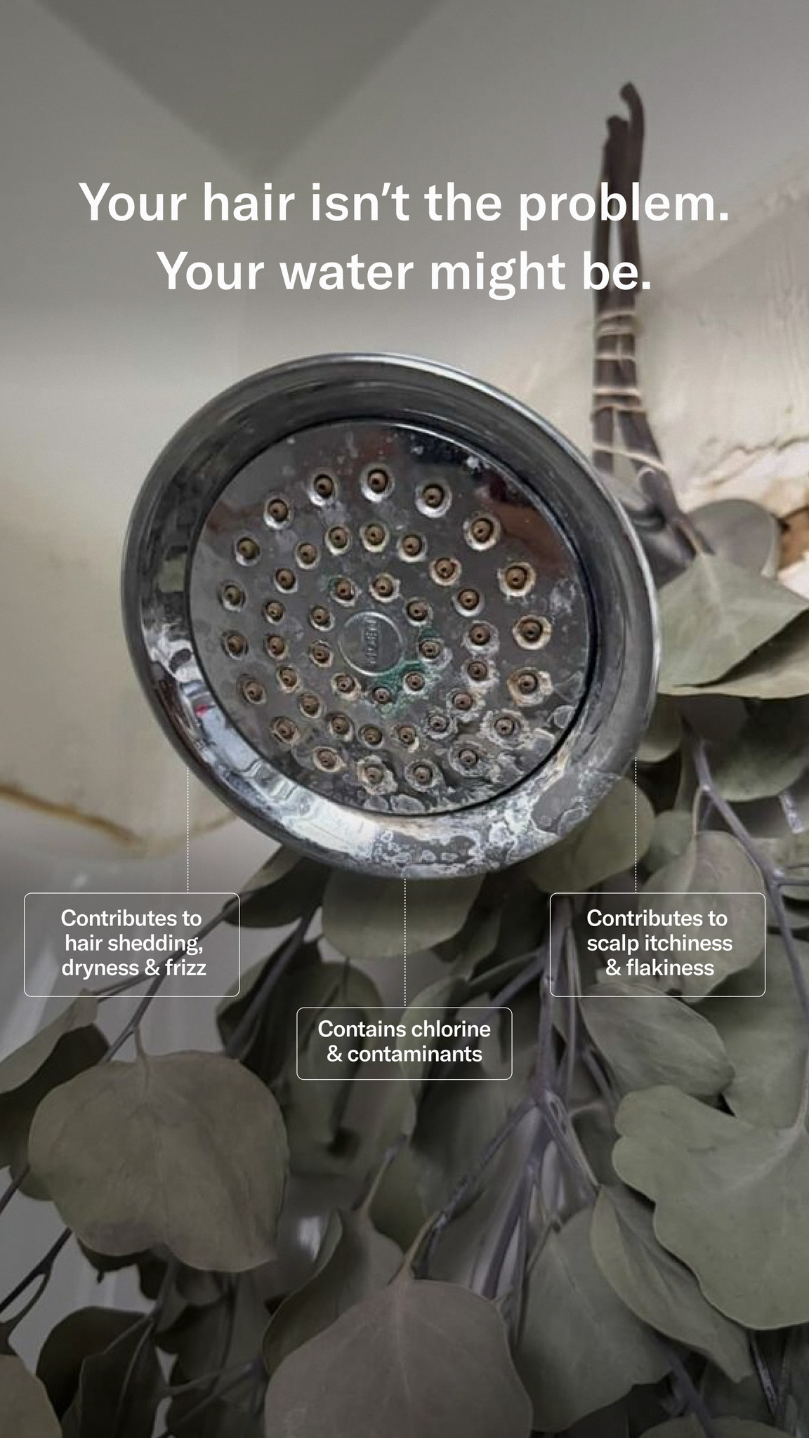 Jolie Facebook ad: Everyone Needs A Shower Filter To Ensure Clean Water