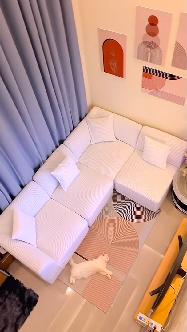 Trendize Facebook ad: French Corduroy Sofa Mats