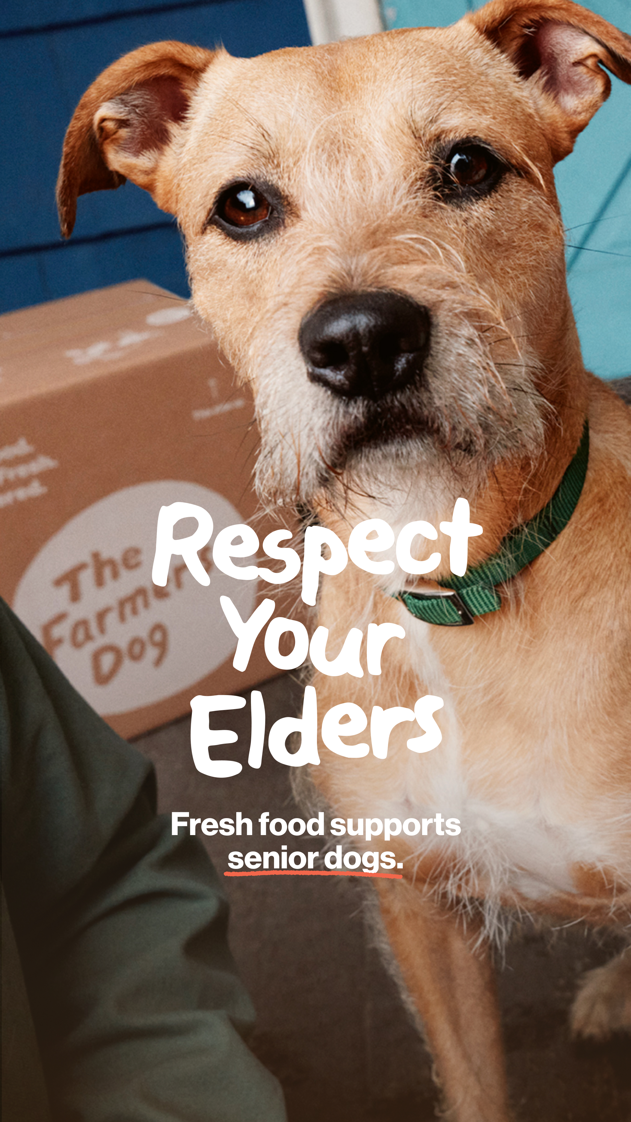 The Farmer's Dog Facebook ad