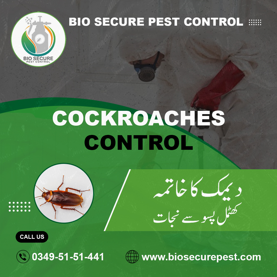 Bio Secure Pest Control Facebook ad: We provide effective Pest Control, Termites Proofing, Water…