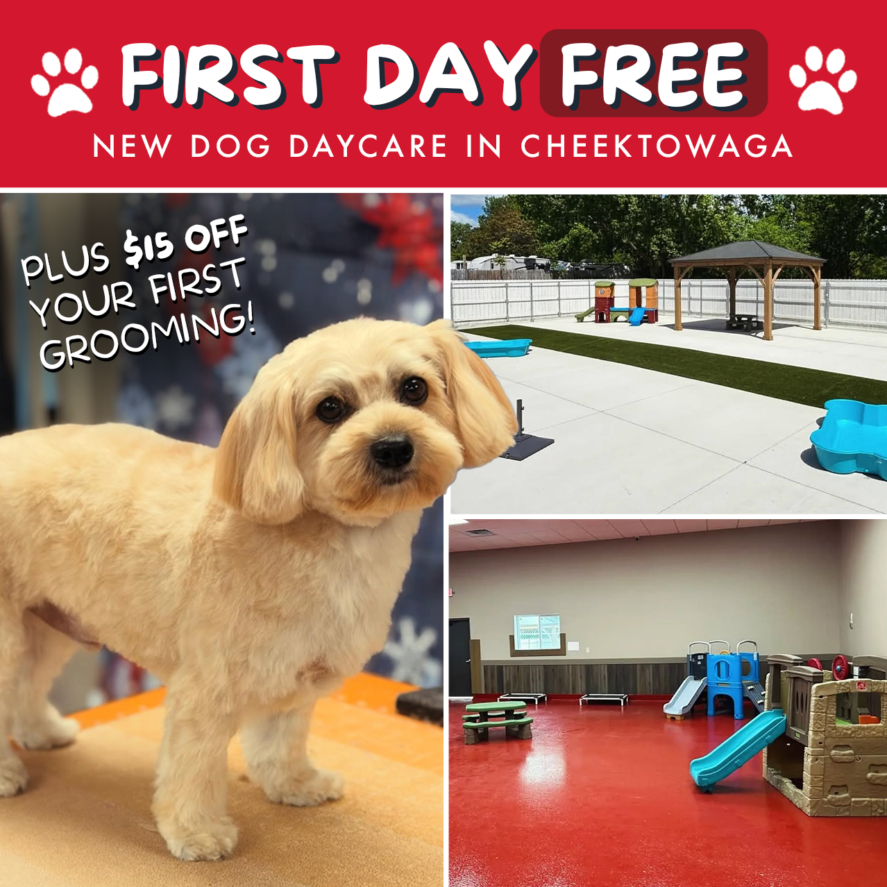 Dog Days of Buffalo Facebook ad: Dog Daycare & Grooming Offer