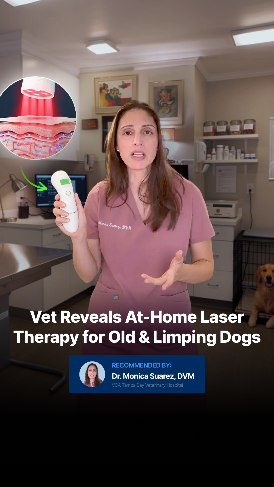 Helio Pet Facebook ad