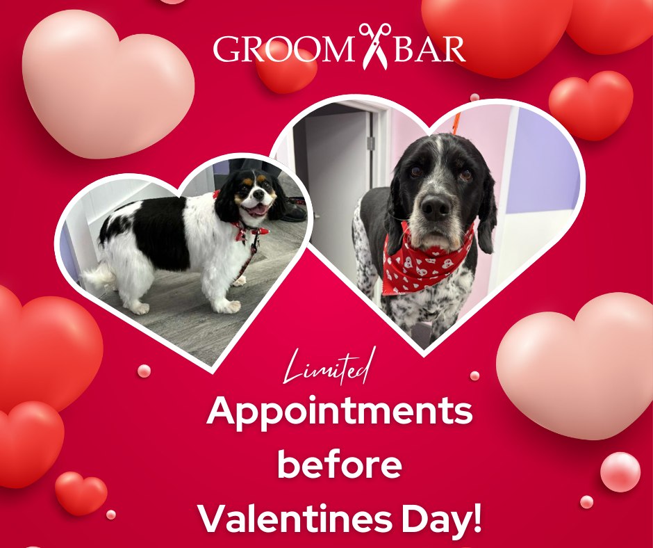 Groombar Bradenton, FL Facebook ad