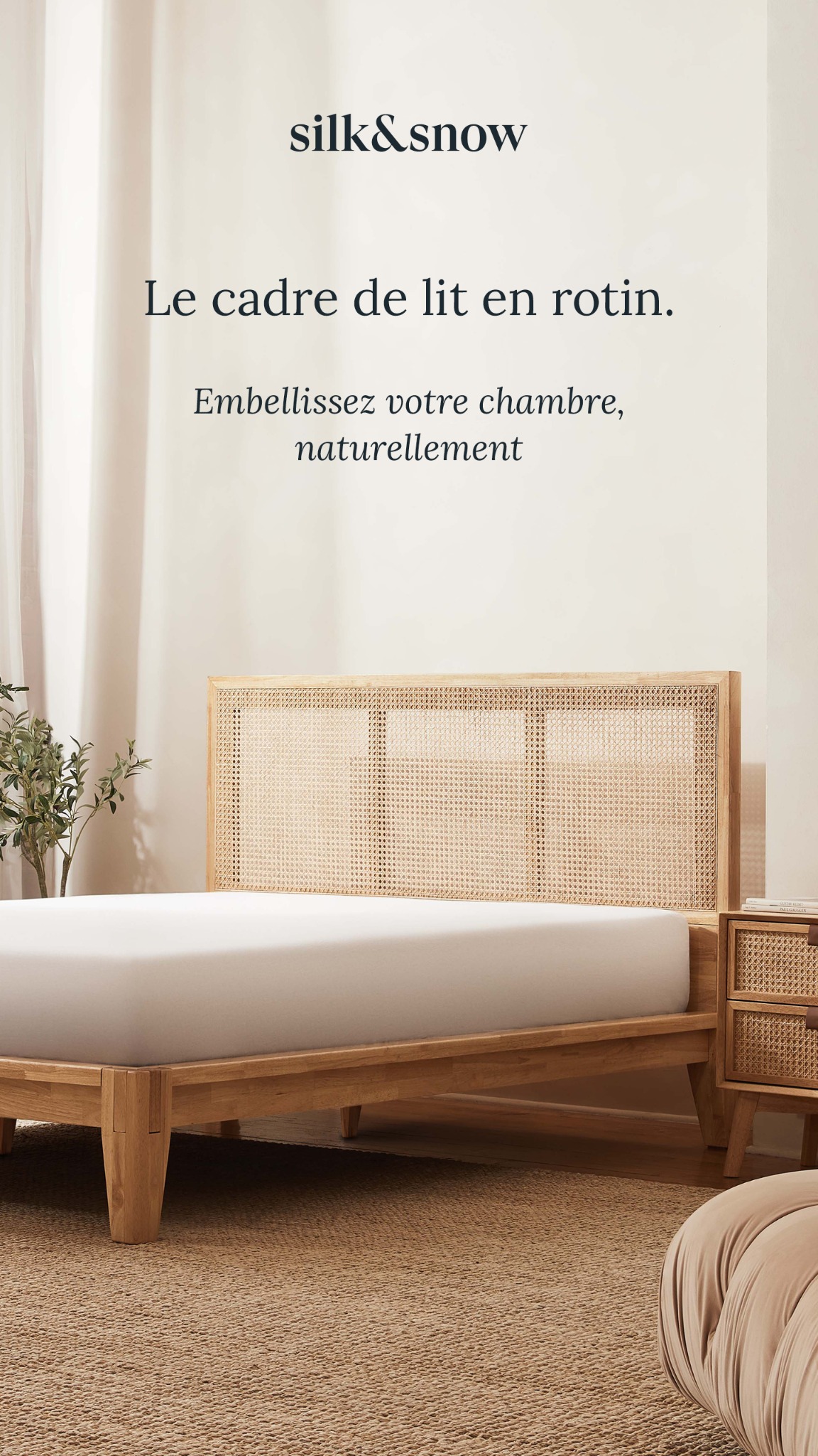 Maison Silk & Snow Facebook ad