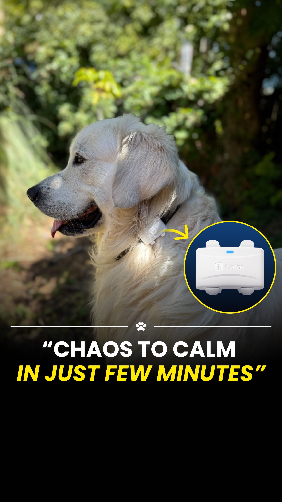Animal Science Today Facebook ad