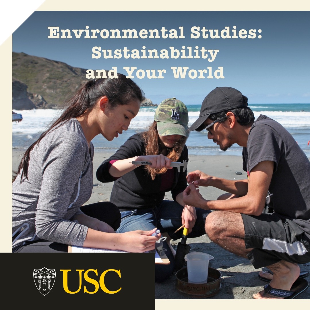 USC Summer & Online Programs Facebook ad