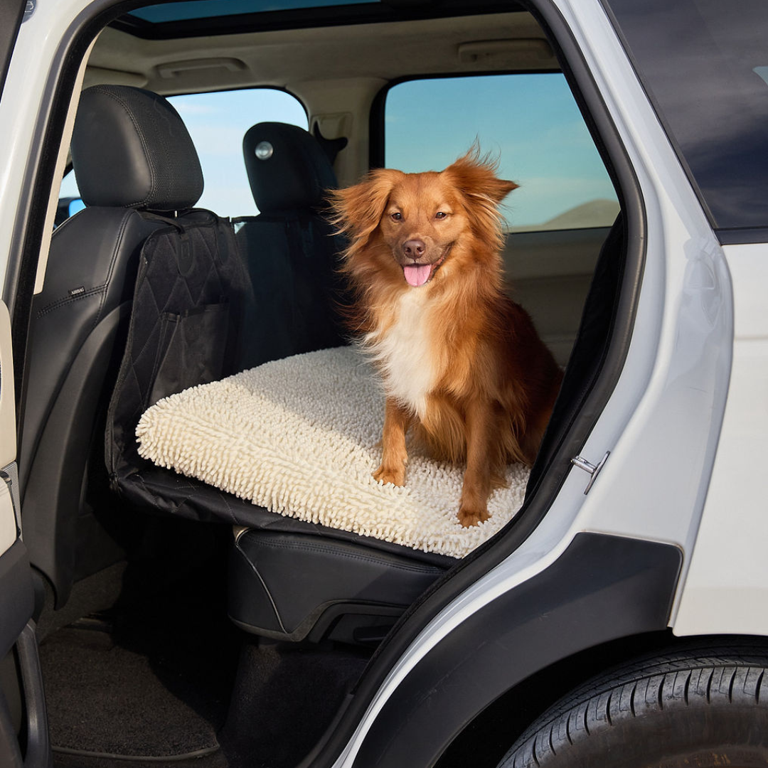 DOG GO Facebook ad