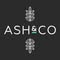Ash & Co. Workshops