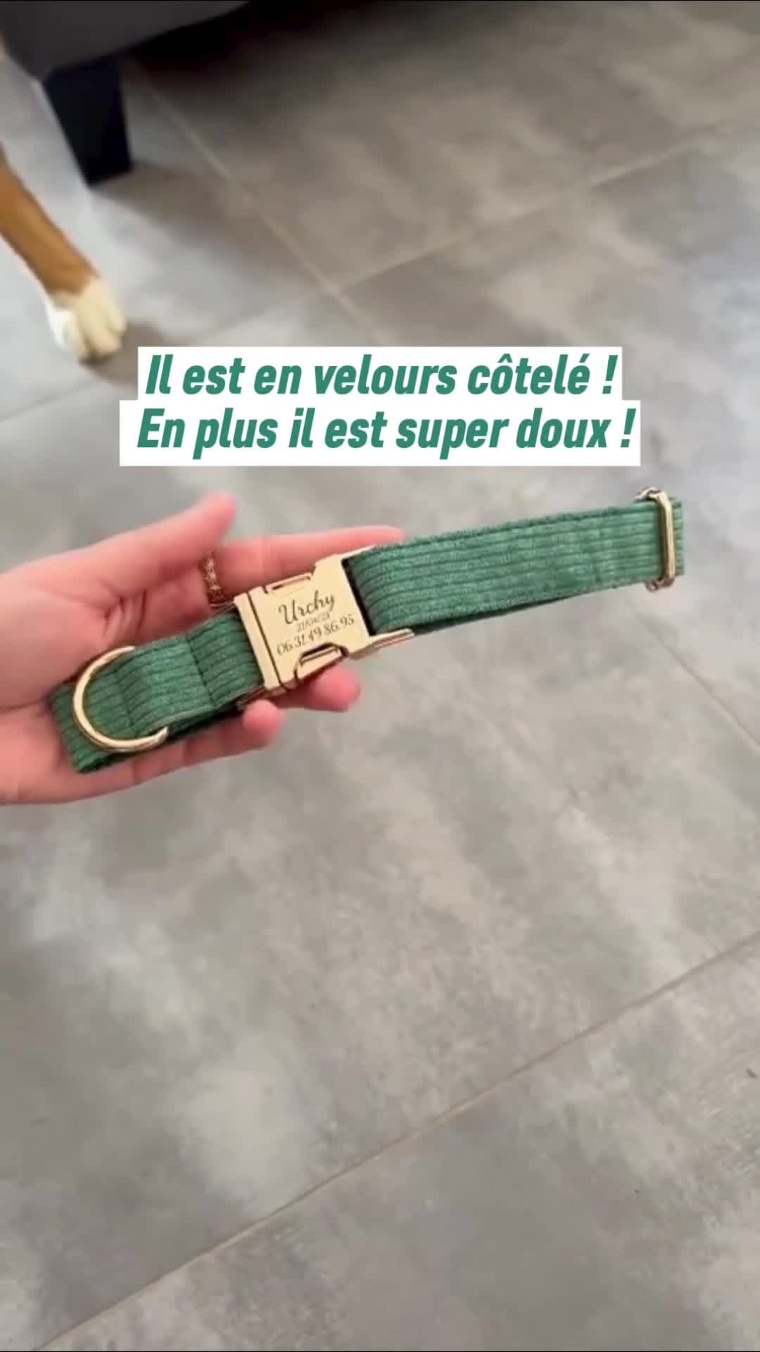 Bande de Canailles Facebook ad from Jul 4, 2024