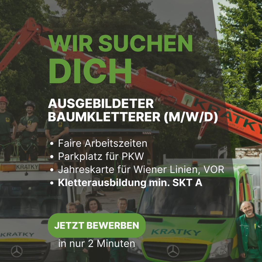 Kratky Garten- u. Grünflächengestaltung GmbH Facebook ad from Sep 2, 2024